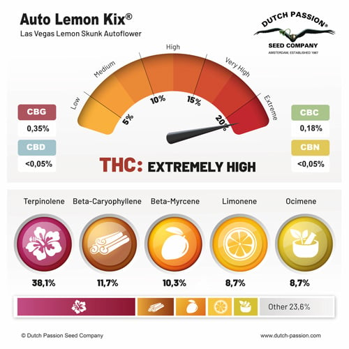 Auto Lemon Kix terpene and cannabinoid profile